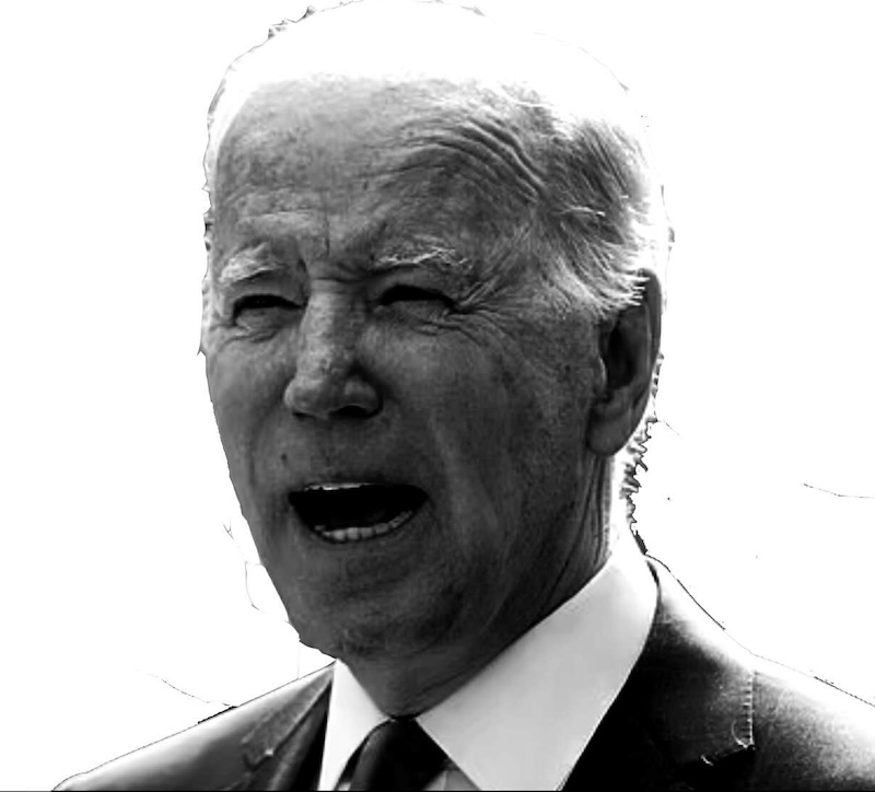 Asshole Joe Biden