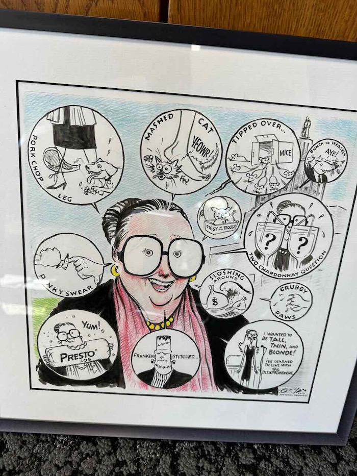 Betsy Johnson Comic