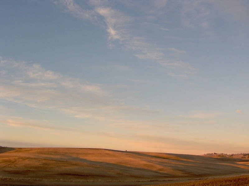 Skyline at dusk in Cheney.