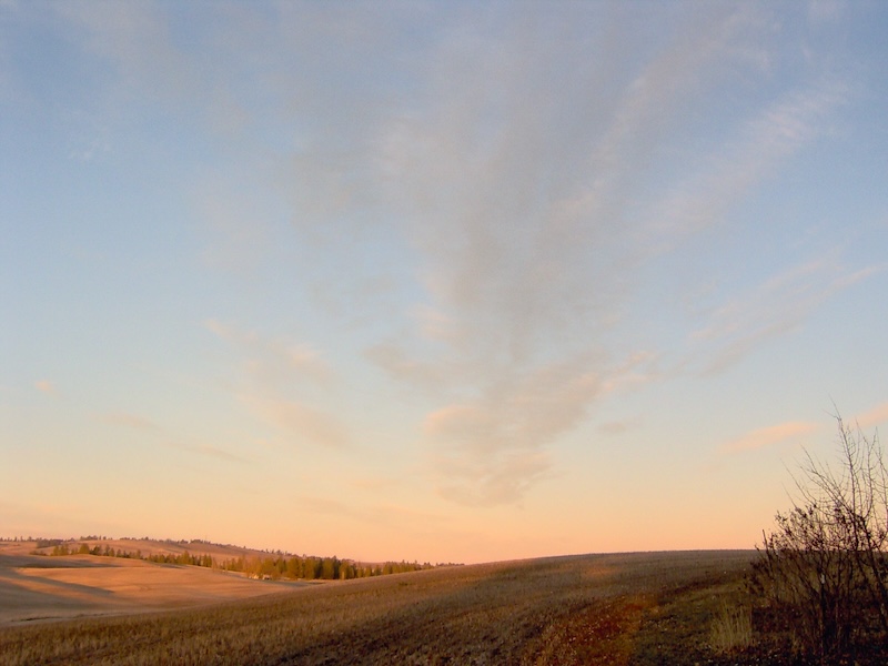 Skyline at dusk in Cheney.