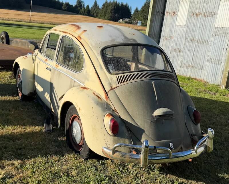 Rear view of '66 Beetle.